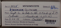 Image Associated With the Occurence